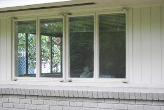Close Up of Two White Casement Windows